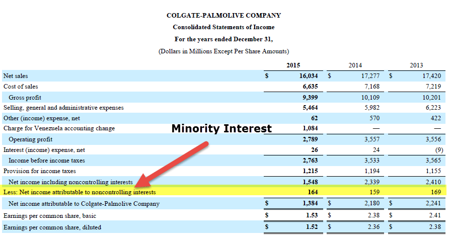 Minority Interest - Profit & Loss