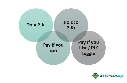 Types of Payment in Kind