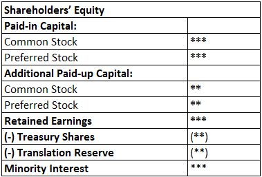 BS Shareholders Equity