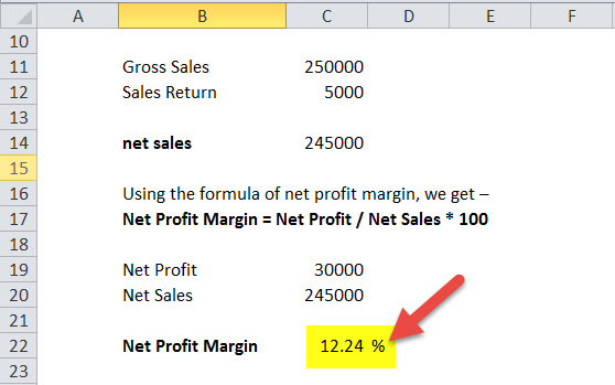 Net Profit Margin Formula in Excel