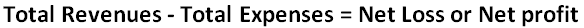 Formula of Net Loss