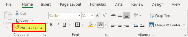 Data Formatting (Format painter)