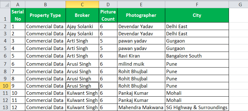 Auto Filter in Excel Example 1