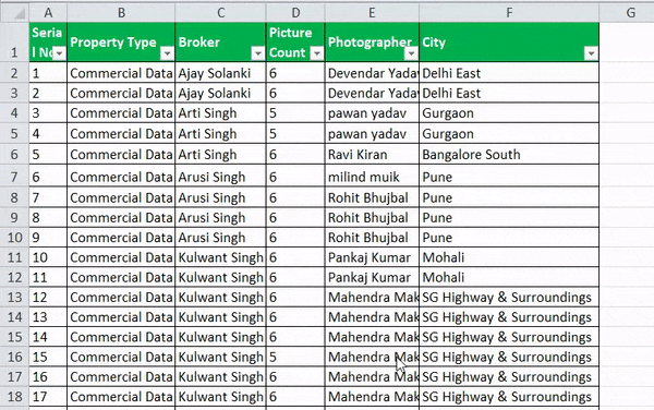 Auto Filter in Excel Example 1-4