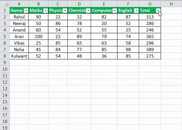 Auto Filter in Excel Example 2-3