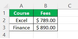 Accounting Number Format in excel - Example 3 - Output