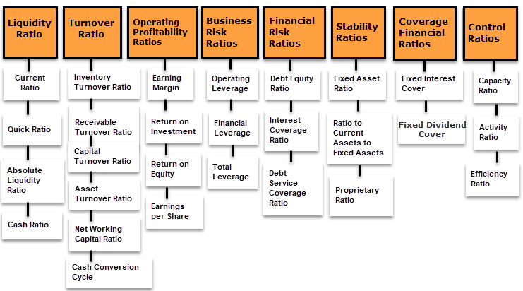 Financial Ratios