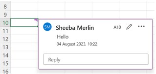 Insert Comment in Excel Intro