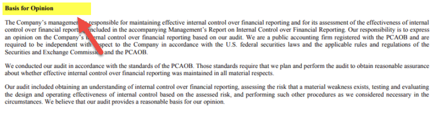 Audit Report Example - Facebook 4