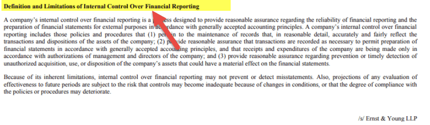 Audit Report Example - Facebook 5