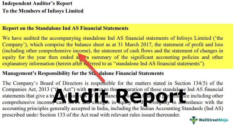 Audit Report Meaning