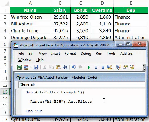 VBA Autofilter Example 1-4