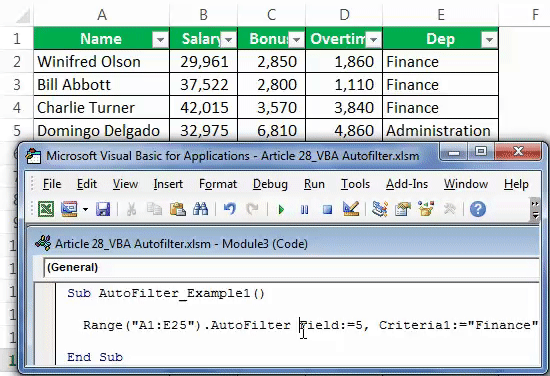 VBA Autofilter Example 1-7