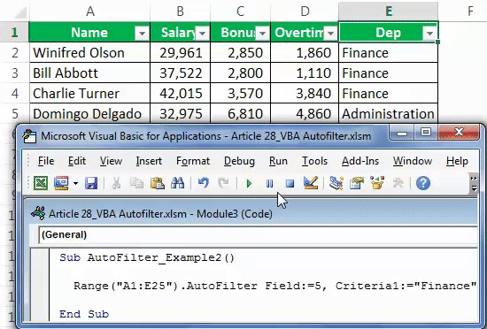 VBA Autofilter Example 2-3