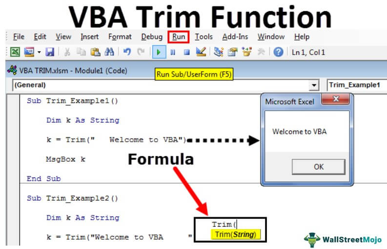 VBA TRIM