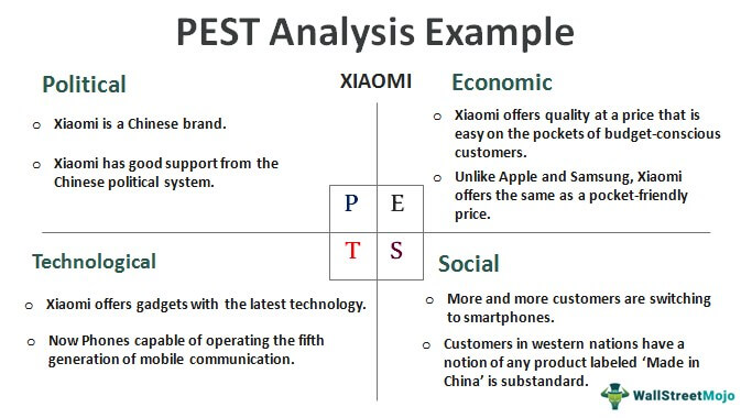 Pest-Analysis-Example