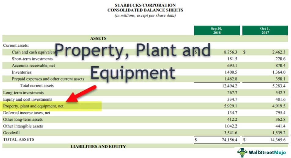 Property Plant and Equipment (PP&E)