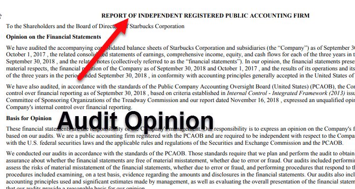 Form-10K-Audit-Opinion