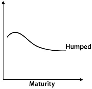 Term structure humped png