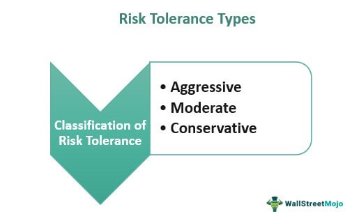 Risk Tolerance Types