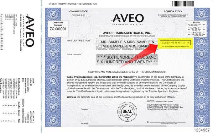 Specimen Share Certificate