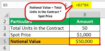 Notional Value Example 2