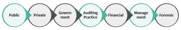 Types of Accounting Practice