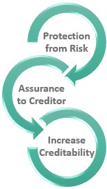 Importance of Credit Insurance