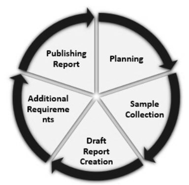 Stages of Audit Cycle