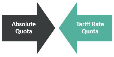 Types-of-Import-Quotas.jpg