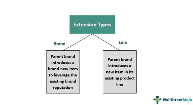 Brand Extension vs. Line Extension