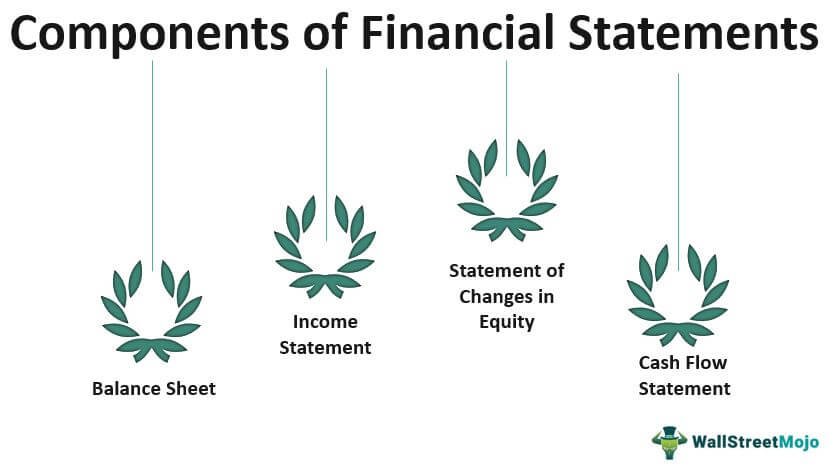 Components of Financial Statements