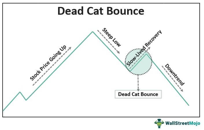 Dead Cat Bounce