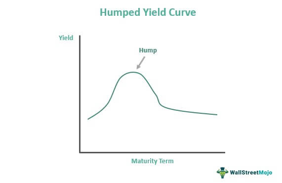 Humped Yield Curve