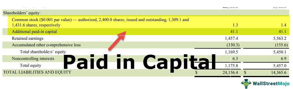 Paid-in-Capital-1-2