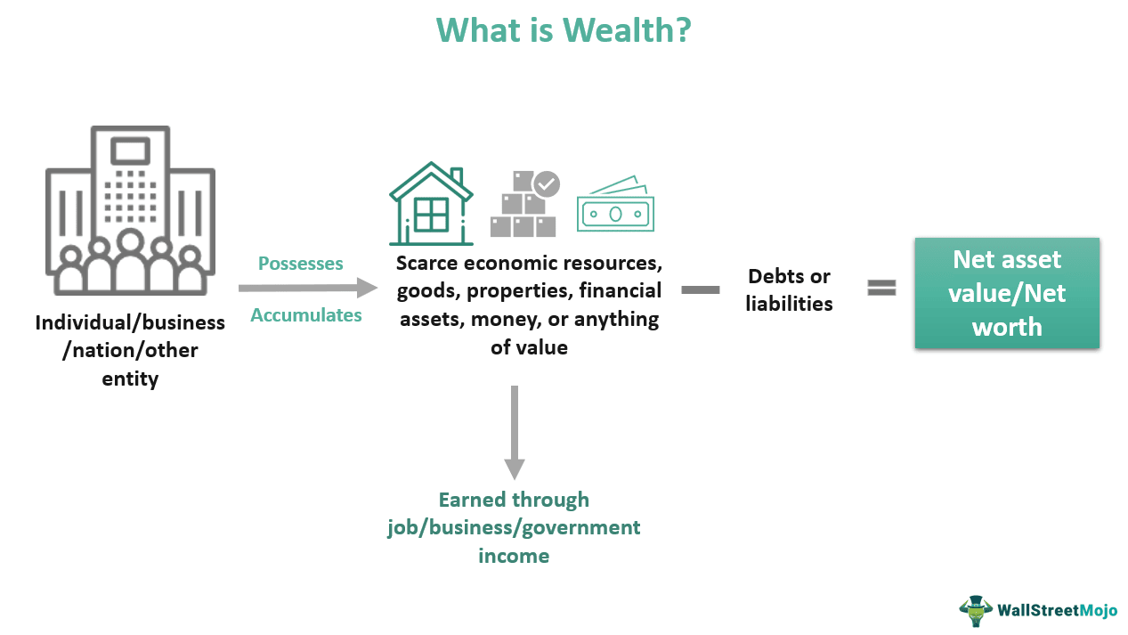 Wealth Meaning