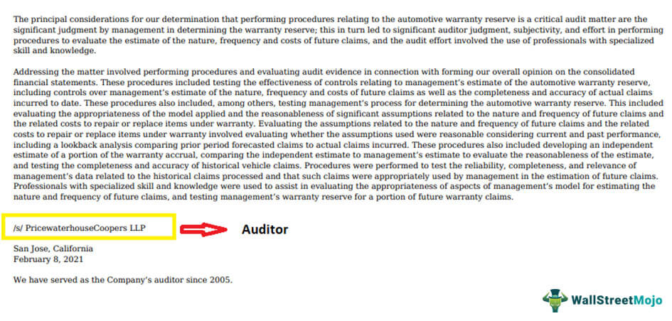 Auditor's Opinion Example - 2