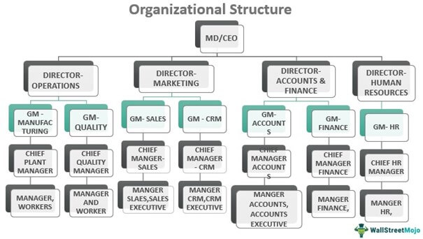Organizational Structure