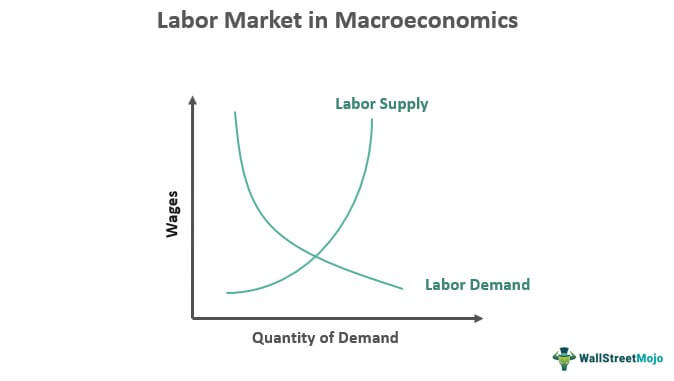 Labor Market in Macroeconomics Graph