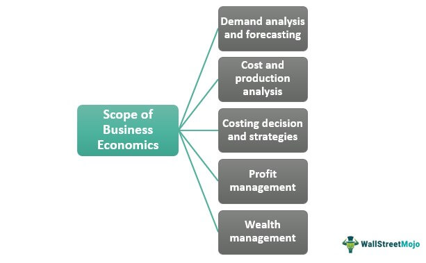 Scope Of Business Economics