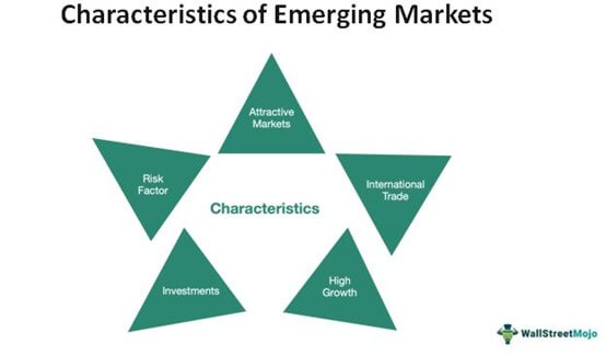 Characteristics of emerging market