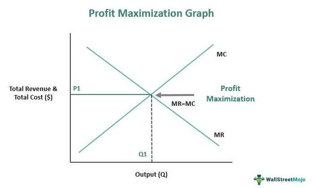 Profit Maximization Graph