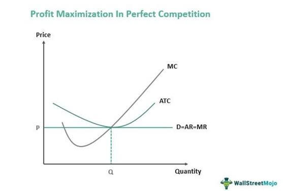 Profit Maximization in Perfect Competition