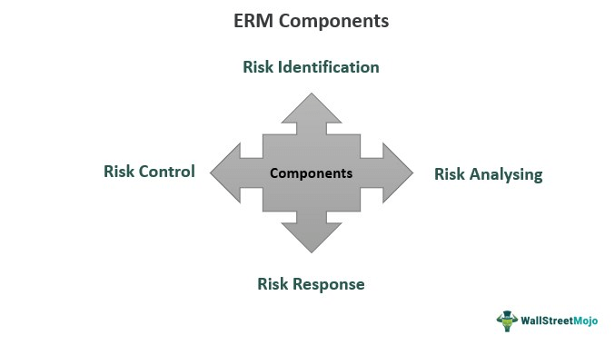 ERM Components