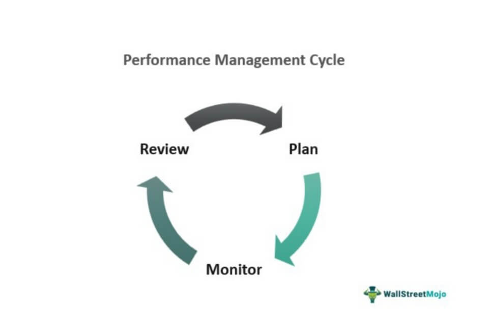 Performance Management Cycle