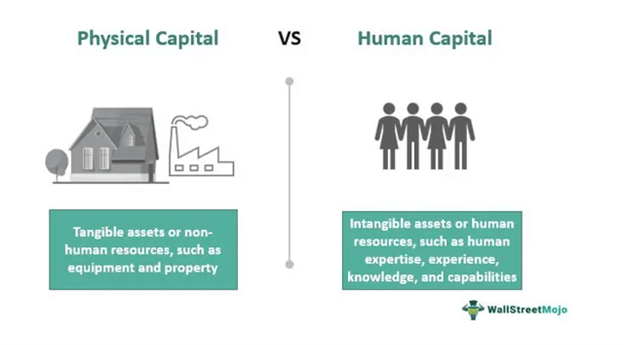 Physical Capital vs Human Capital