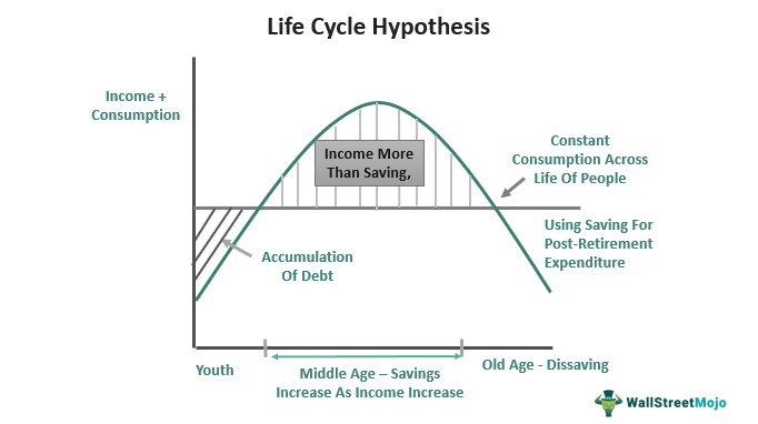 Life Cycle Hypothesis Graph