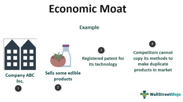 Economic Moat Example