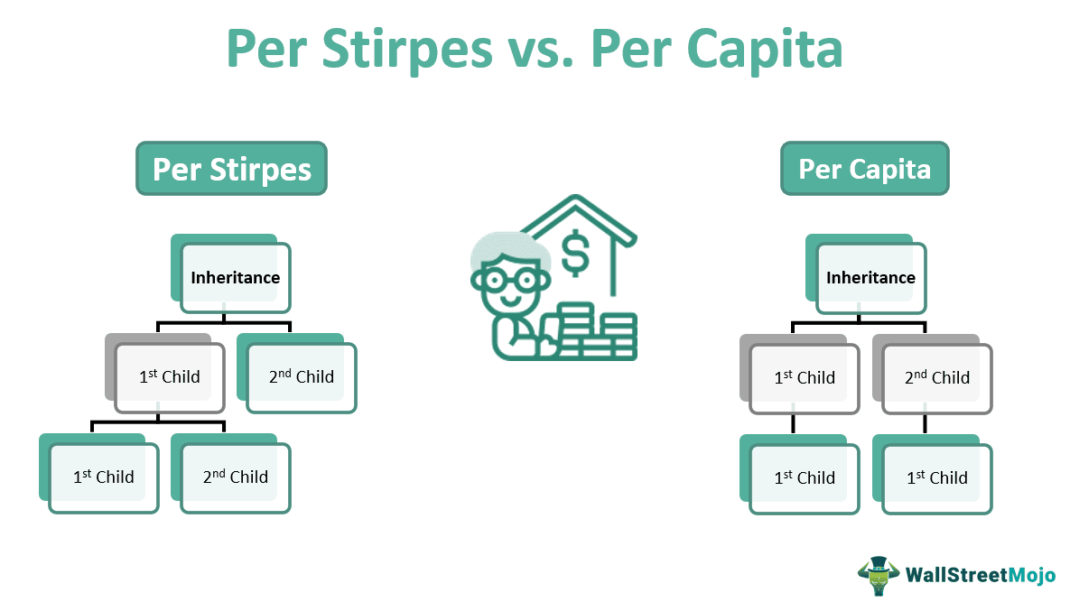 Per Stirpes vs Per Capita