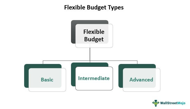 Flexible Budget Types